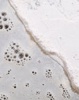 Gentle Foaming Cleanser Powder